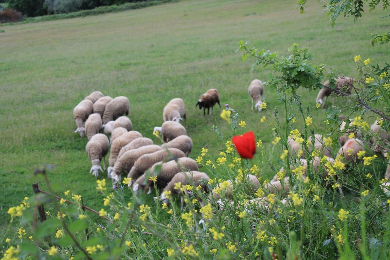 San Quirico dʼOrcia Agriturismo Cantagalli מראה חיצוני תמונה